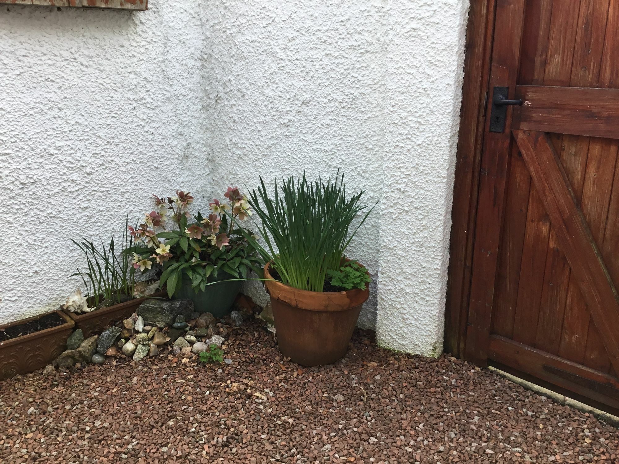 Ingleneuk Bed And Breakfast EDI Buitenkant foto